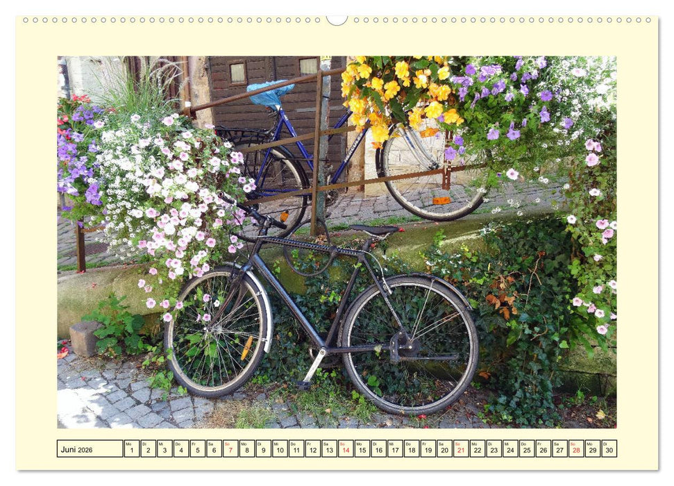 Drahtesel in unseren Straßen (CALVENDO Wandkalender 2026)