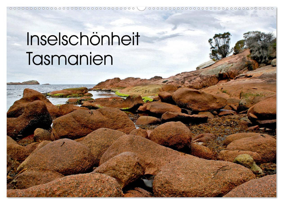 Inselschönheit Tasmanien (CALVENDO Wandkalender 2026)