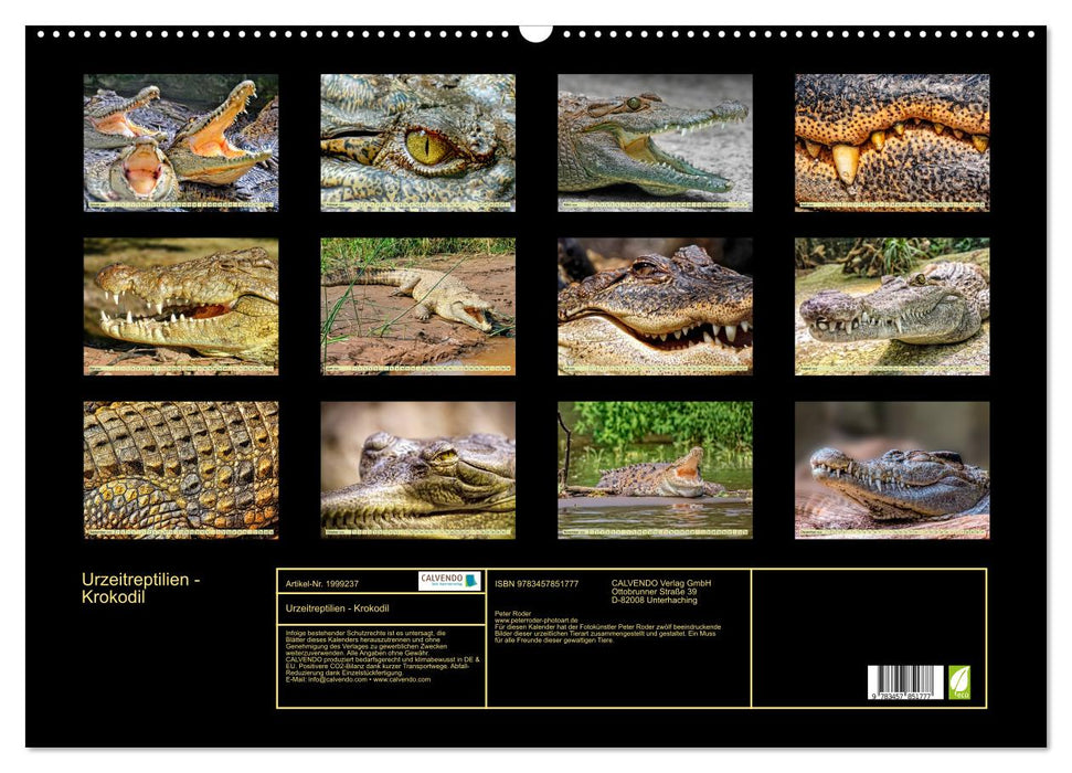 Urzeitreptilien - Krokodil (CALVENDO Wandkalender 2026)
