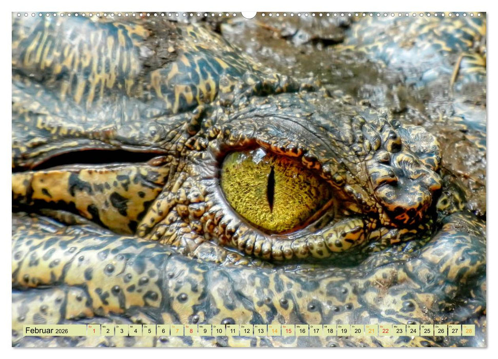 Urzeitreptilien - Krokodil (CALVENDO Wandkalender 2026)