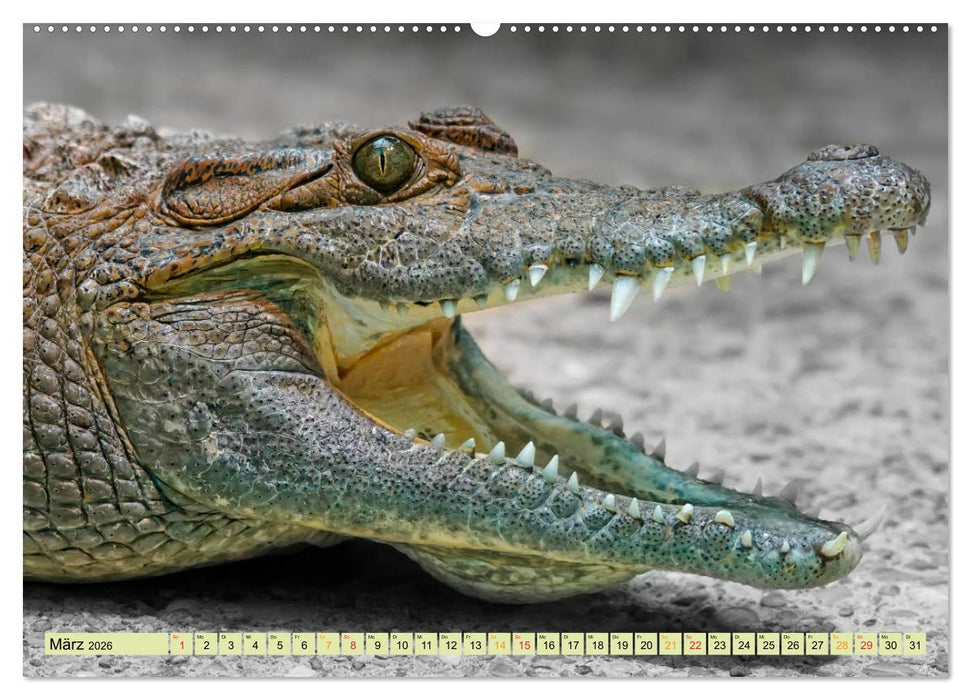Urzeitreptilien - Krokodil (CALVENDO Wandkalender 2026)