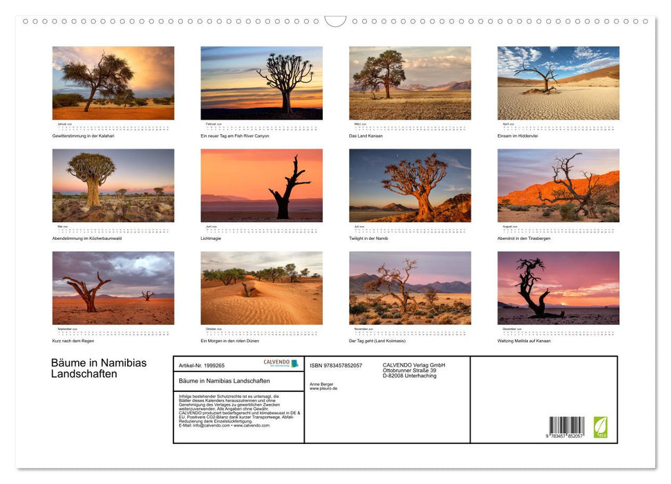 Bäume in Namibias Landschaften (CALVENDO Wandkalender 2026)