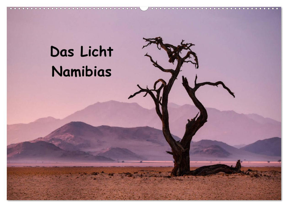 Das Licht Namibias (CALVENDO Wandkalender 2026)