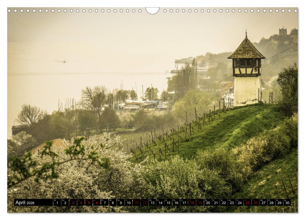 Hegau und westlicher Bodensee (CALVENDO Wandkalender 2026)