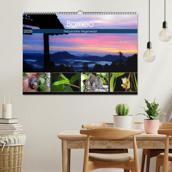 Borneo - Tierparadies Regenwald (CALVENDO Wandkalender 2026)