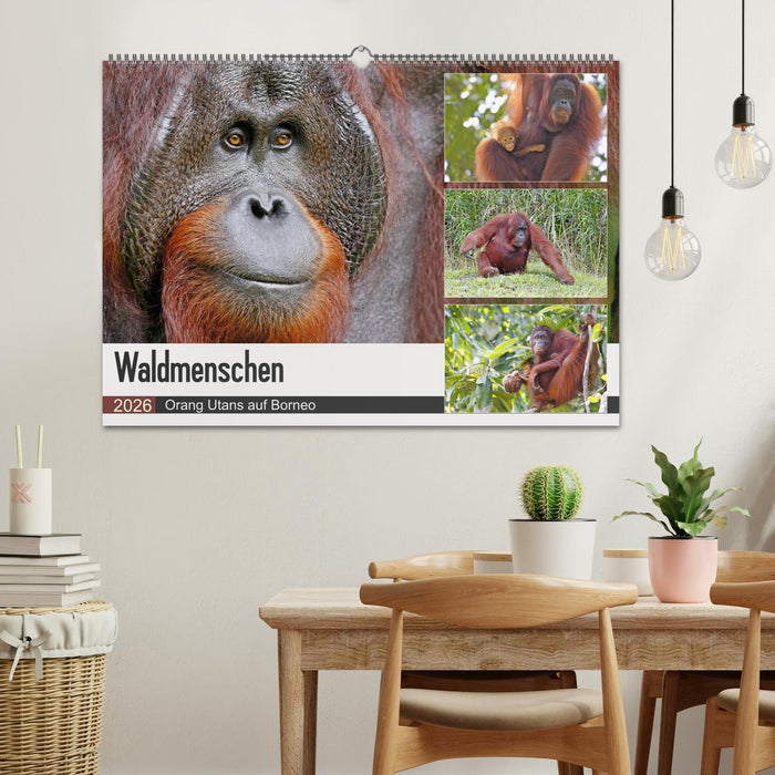 Waldmenschen - Orang Utans auf Borneo (CALVENDO Wandkalender 2026)