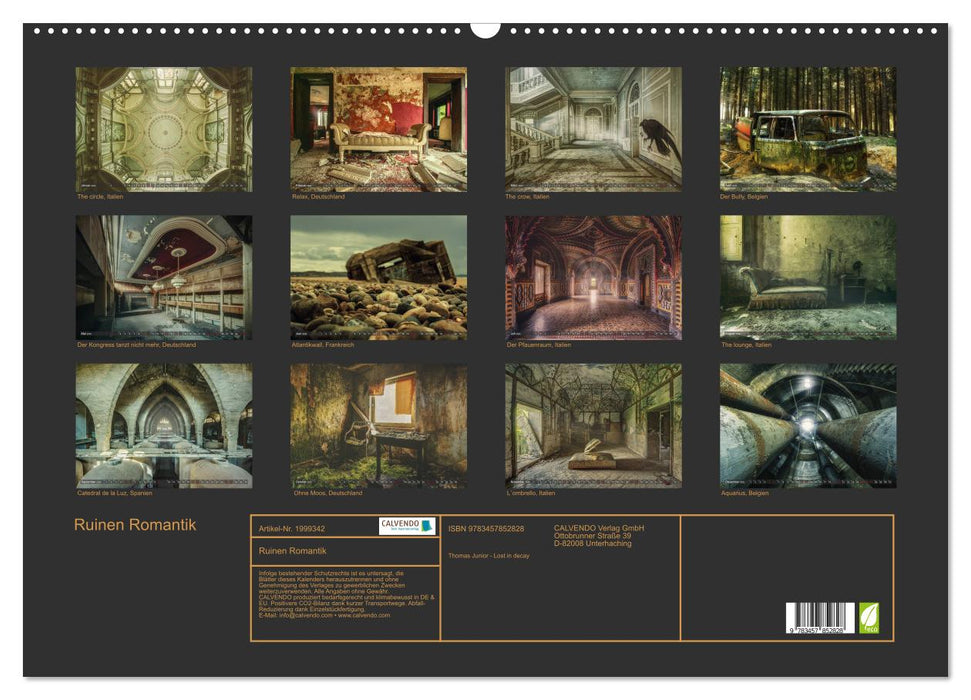 Ruinen Romantik (CALVENDO Wandkalender 2026)