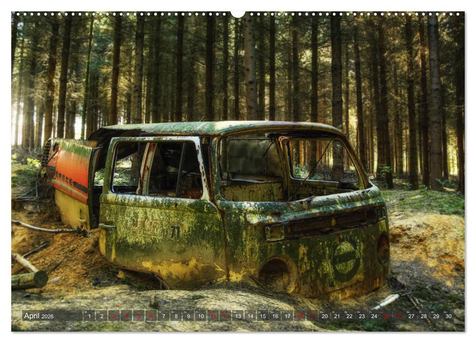 Ruinen Romantik (CALVENDO Wandkalender 2026)