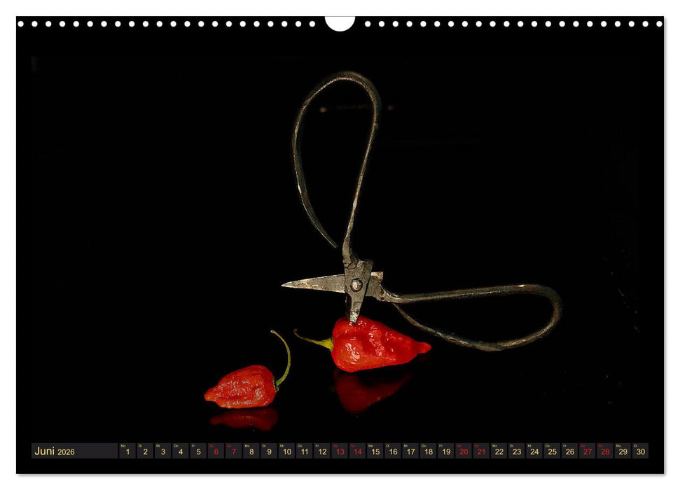 Scharfe Chili Fantasien - Creative Food Design (CALVENDO Wandkalender 2026)