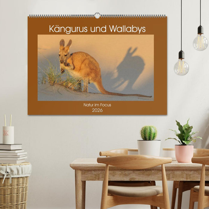 Kängururs und Wallabys (CALVENDO Wandkalender 2026)