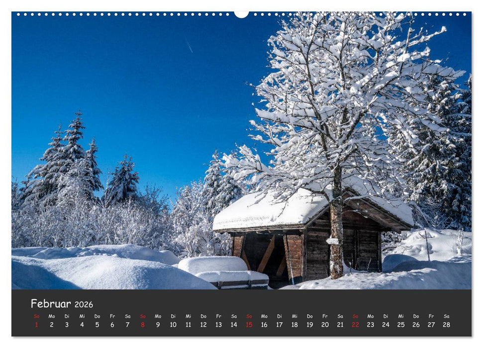 Schluchsee Naturpark Südschwarzwald (CALVENDO Wandkalender 2026)