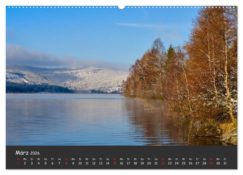 Schluchsee Naturpark Südschwarzwald (CALVENDO Wandkalender 2026)