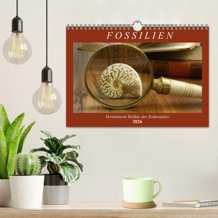 Fossilien - Versteinerte Relikte der Erdzeitalter (CALVENDO Wandkalender 2026)