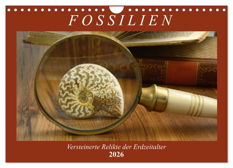 Fossilien - Versteinerte Relikte der Erdzeitalter (CALVENDO Wandkalender 2026)