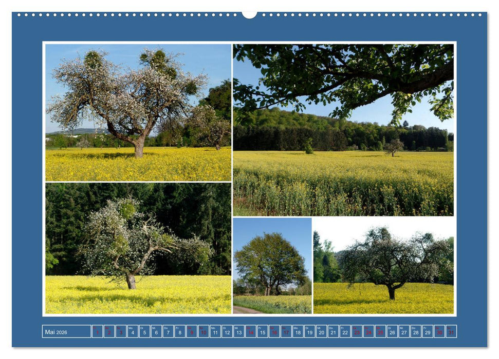 Collagen aus Eifel und Umland 2026 (CALVENDO Wandkalender 2026)