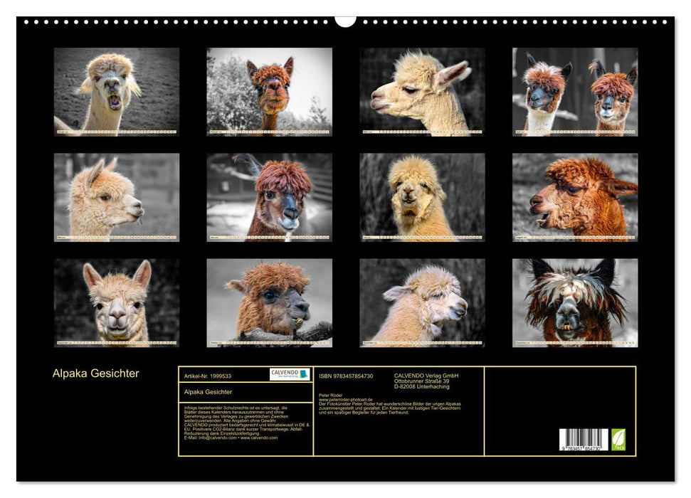 Alpaka Gesichter (CALVENDO Wandkalender 2026)