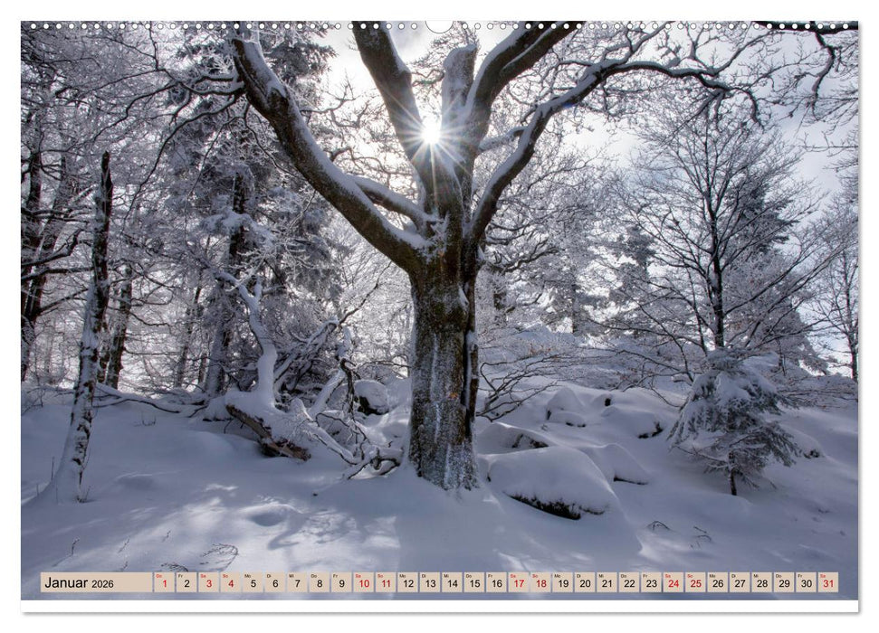 Vogesen - wunderschön (CALVENDO Wandkalender 2026)