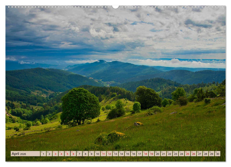 Vogesen - wunderschön (CALVENDO Wandkalender 2026)