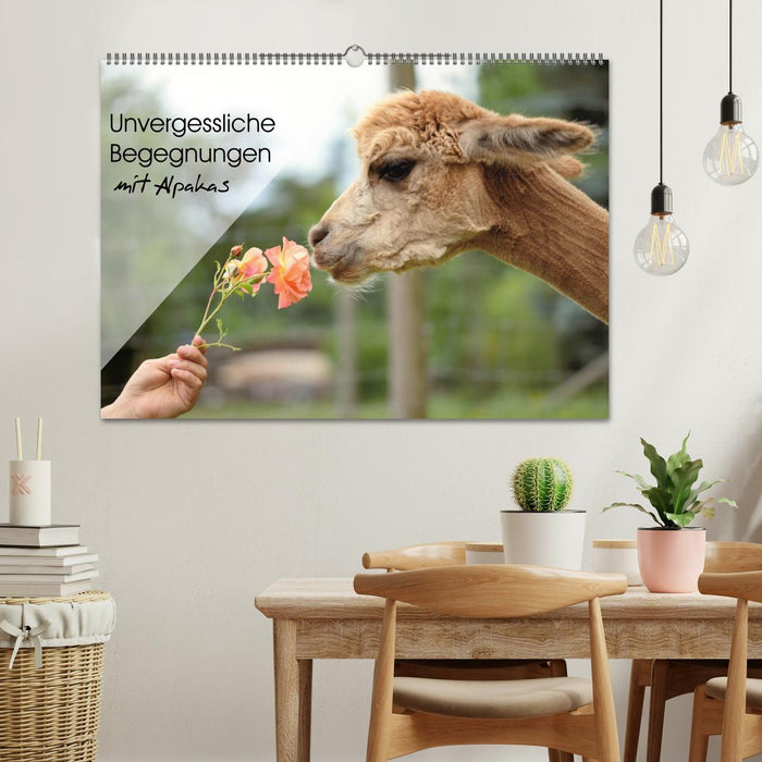 Unvergessliche Begegnungen mit Alpakas (CALVENDO Wandkalender 2026)