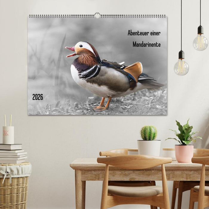 Abenteuer einer Mandarinente (CALVENDO Wandkalender 2026)