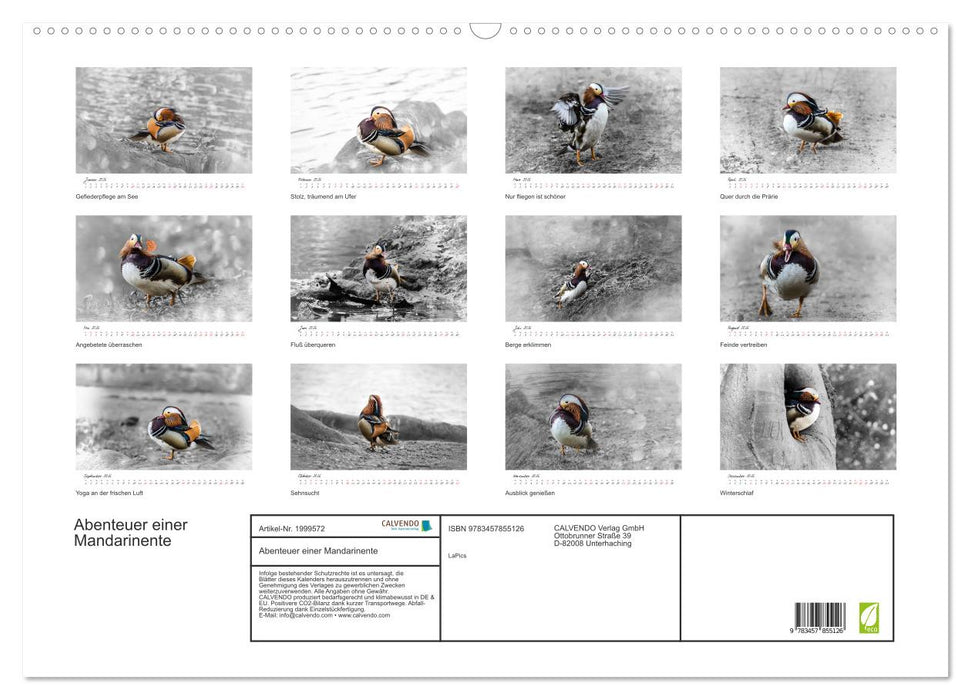 Abenteuer einer Mandarinente (CALVENDO Wandkalender 2026)