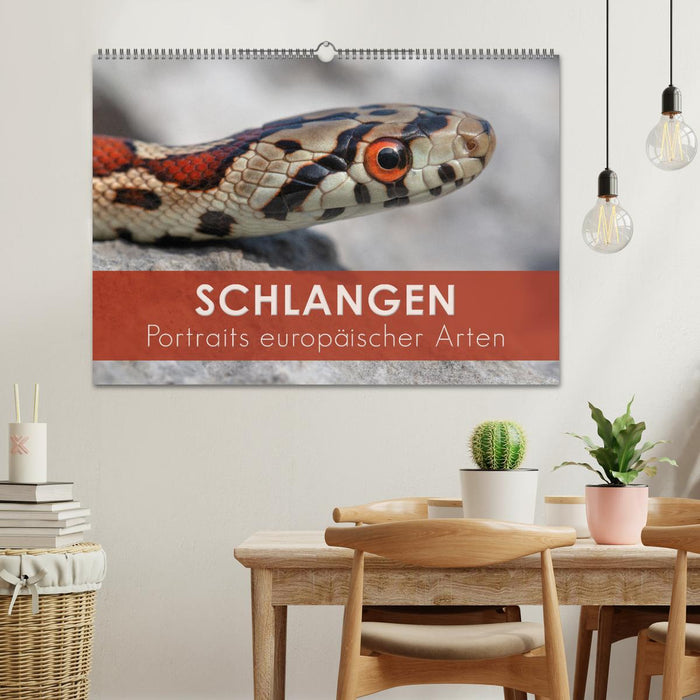 Schlangen - Portraits europäischer Arten (CALVENDO Wandkalender 2026)