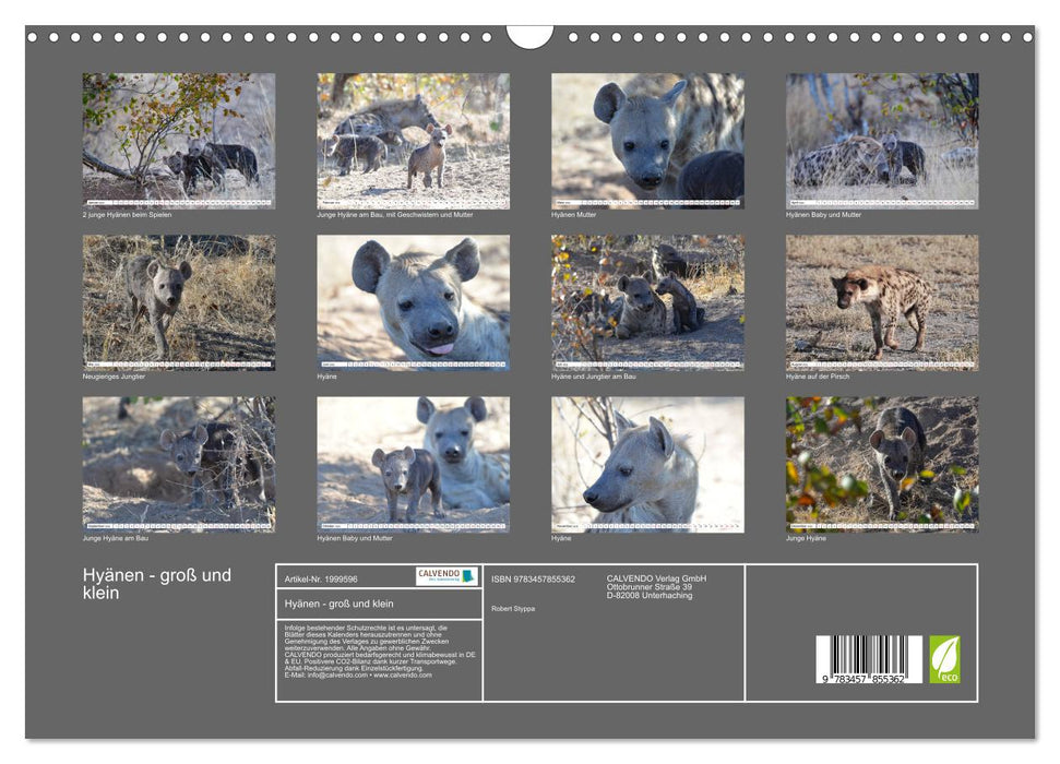 Hyänen - groß und klein (CALVENDO Wandkalender 2026)
