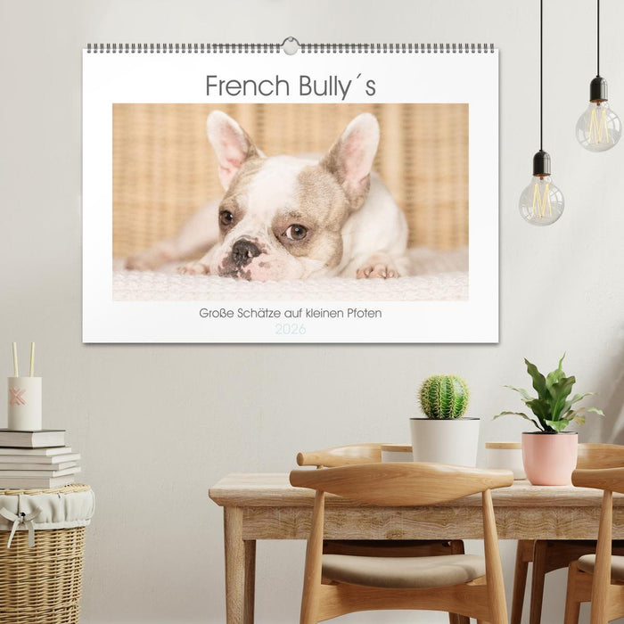 French Bully´s - Große Schätze auf kleinen Pfoten (CALVENDO Wandkalender 2026)