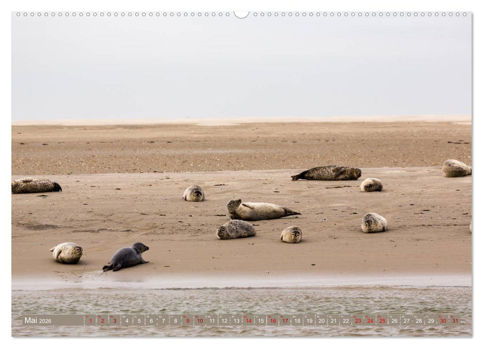 Einzigartiges Spiekeroog (CALVENDO Wandkalender 2026)