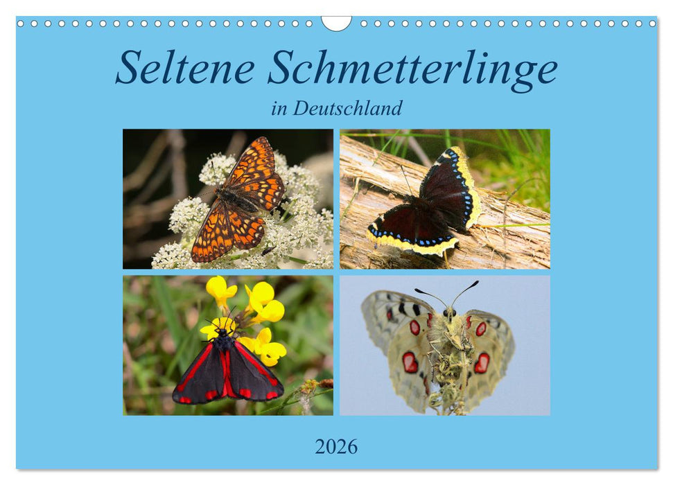 Seltene Schmetterlinge in Deutschland (CALVENDO Wandkalender 2026)