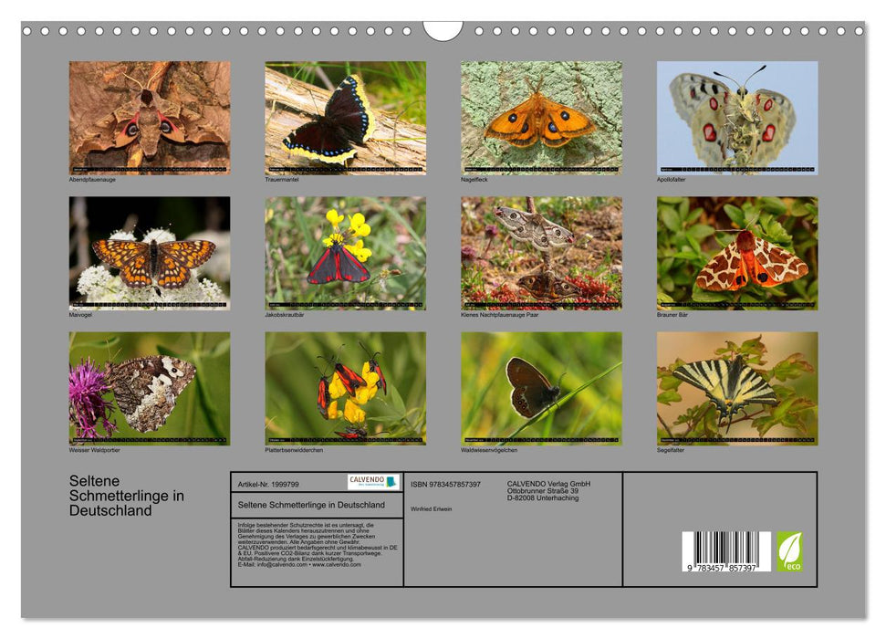 Seltene Schmetterlinge in Deutschland (CALVENDO Wandkalender 2026)