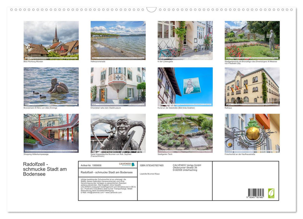 Radolfzell - schmucke Stadt am Bodensee (CALVENDO Wandkalender 2026)