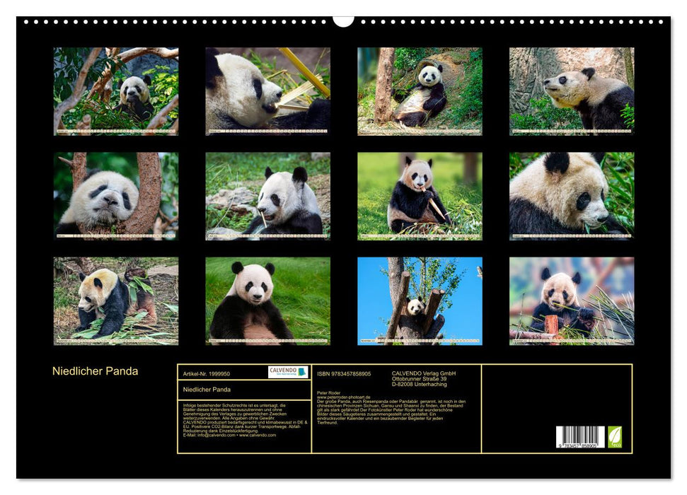 Niedlicher Panda (CALVENDO Wandkalender 2026)