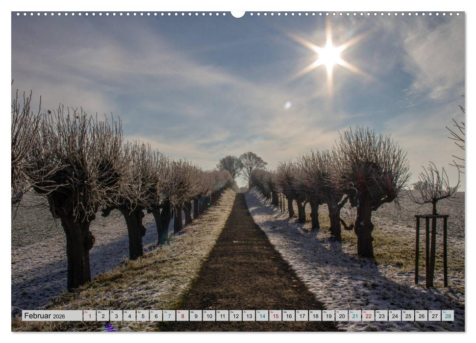 Schloss Bothmer - Klützer Schlossimpressionen (CALVENDO Wandkalender 2026)