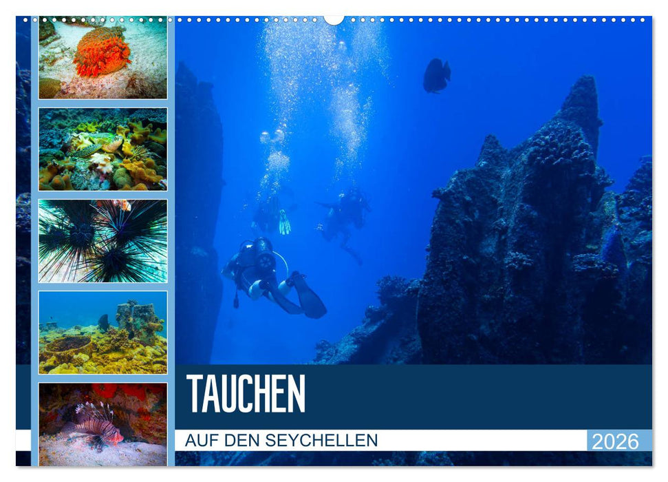 Tauchen auf den Sychellen (CALVENDO Wandkalender 2026)