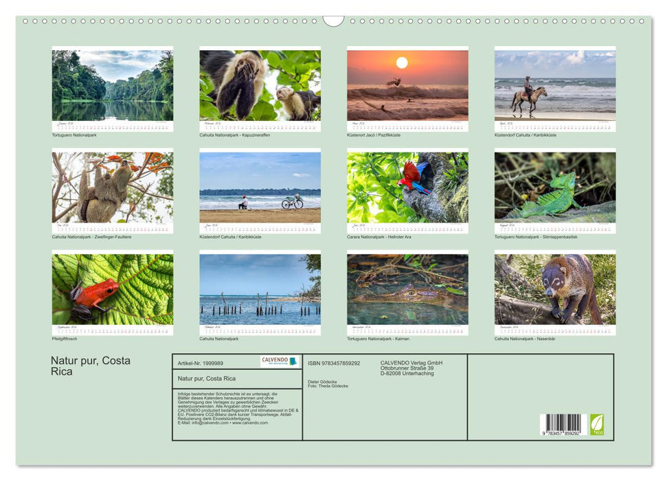 Natur pur, Costa Rica (CALVENDO Wandkalender 2026)