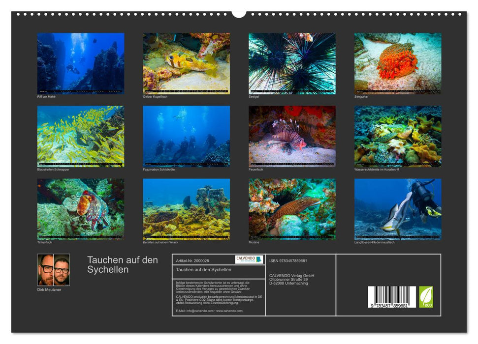 Tauchen auf den Sychellen (CALVENDO Premium Wandkalender 2026)