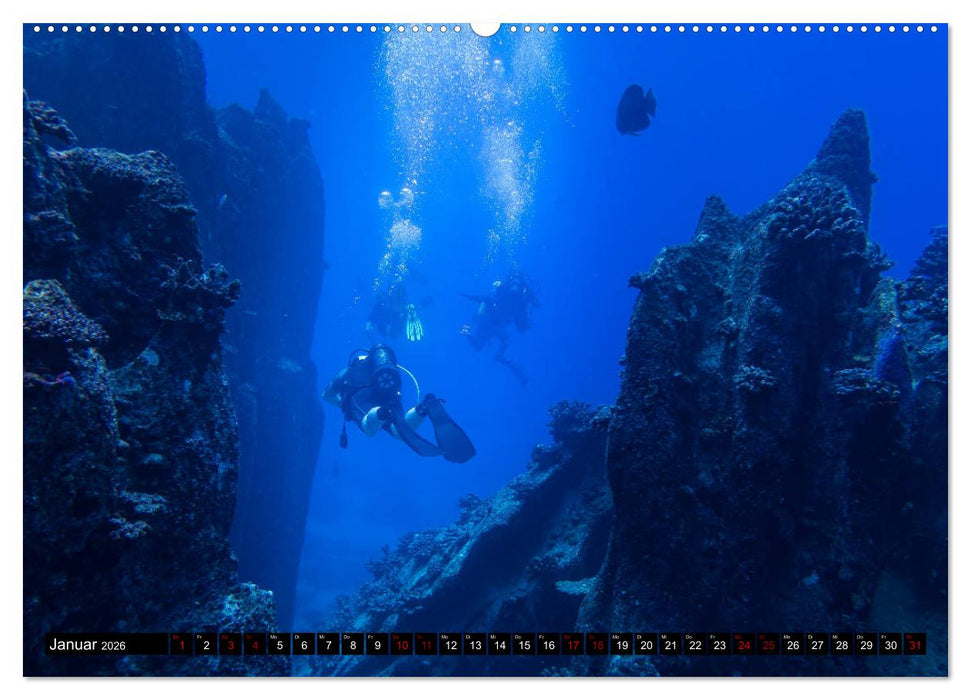 Tauchen auf den Sychellen (CALVENDO Premium Wandkalender 2026)
