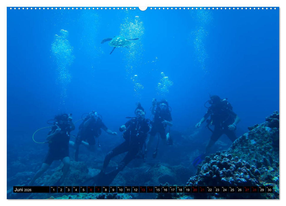 Tauchen auf den Sychellen (CALVENDO Premium Wandkalender 2026)