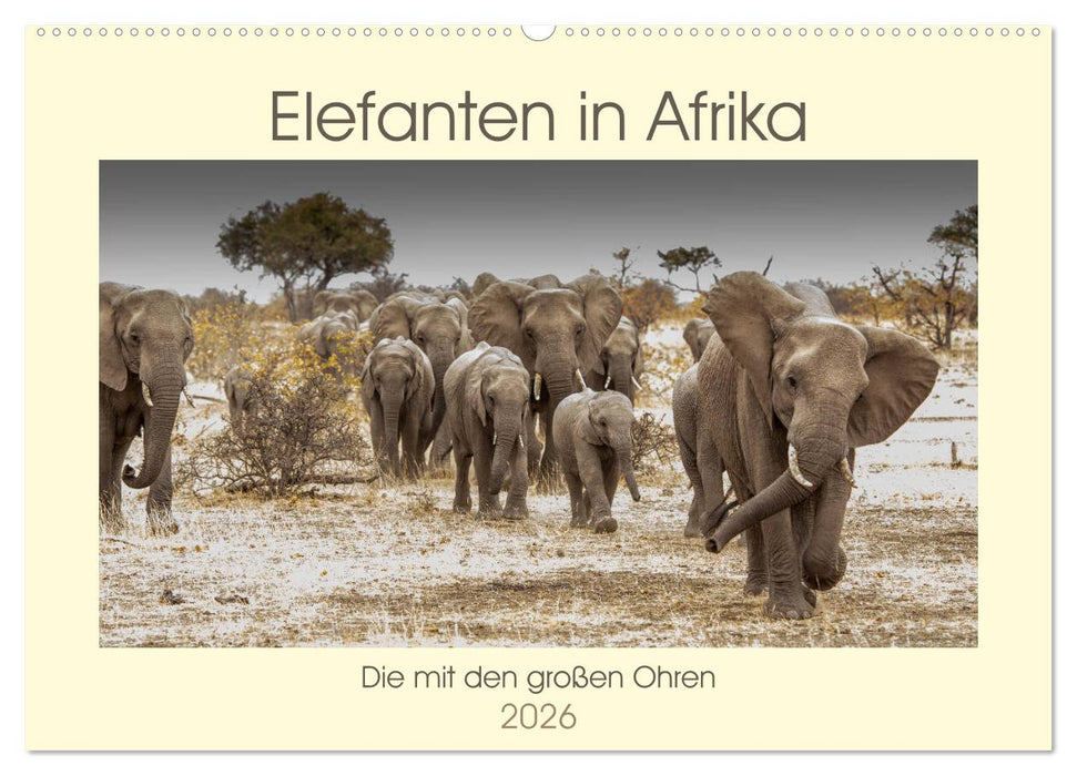 Elefanten in Afrika - Die mit den großen Ohren (CALVENDO Wandkalender 2026)