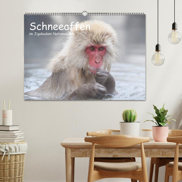 Schneeaffen im Jigokudani Nationalpark (CALVENDO Wandkalender 2026)