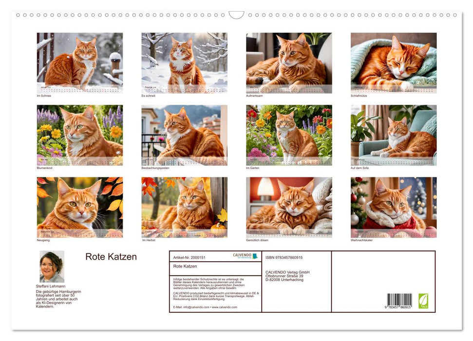 Rote Katzen (CALVENDO Wandkalender 2026)