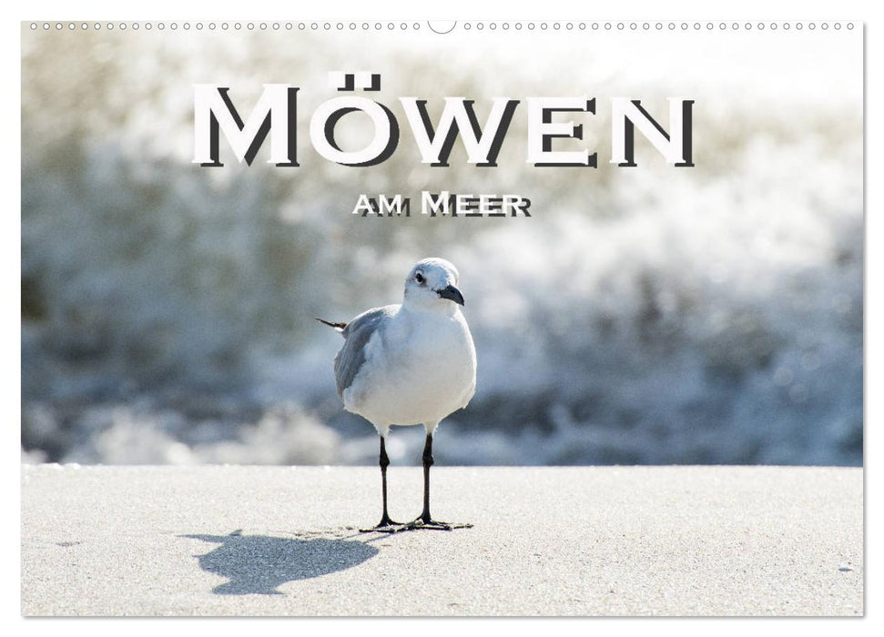 Möwen am Meer (CALVENDO Wandkalender 2026)