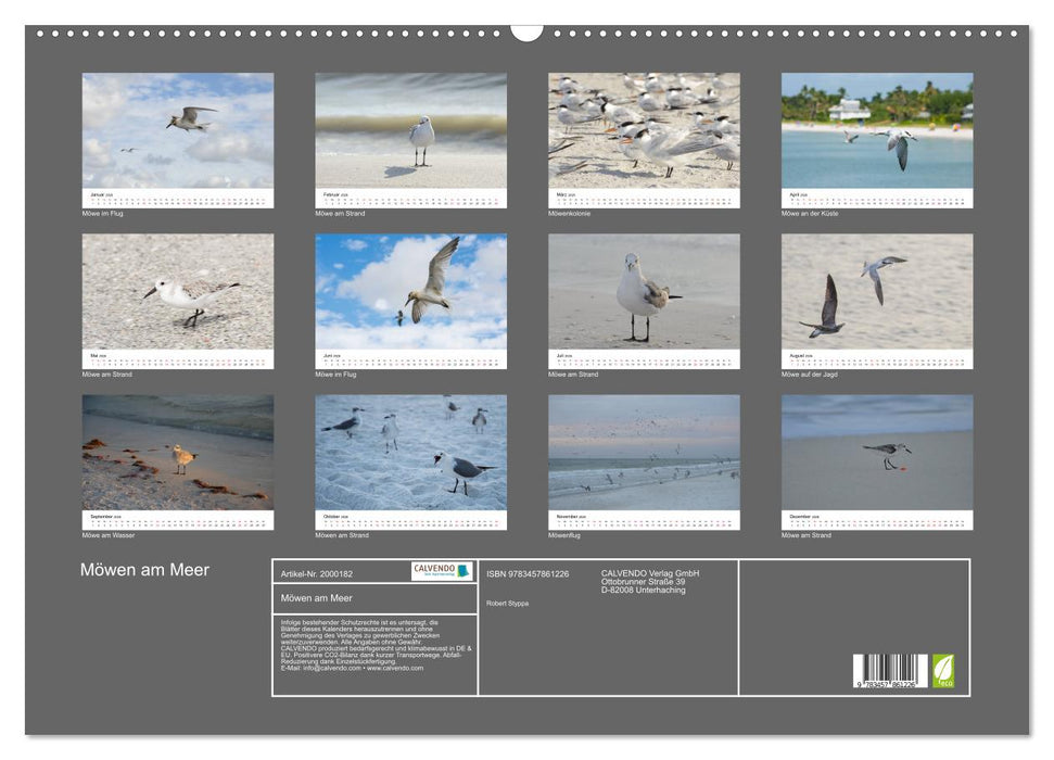 Möwen am Meer (CALVENDO Wandkalender 2026)