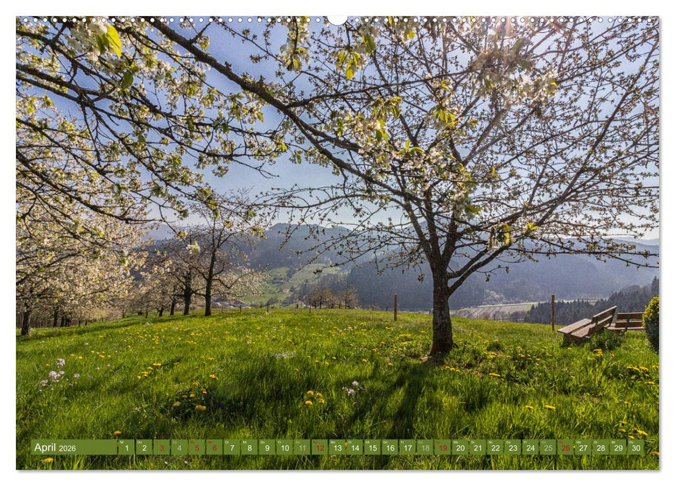Die Jahreszeiten im Nordschwarzwald (CALVENDO Wandkalender 2026)