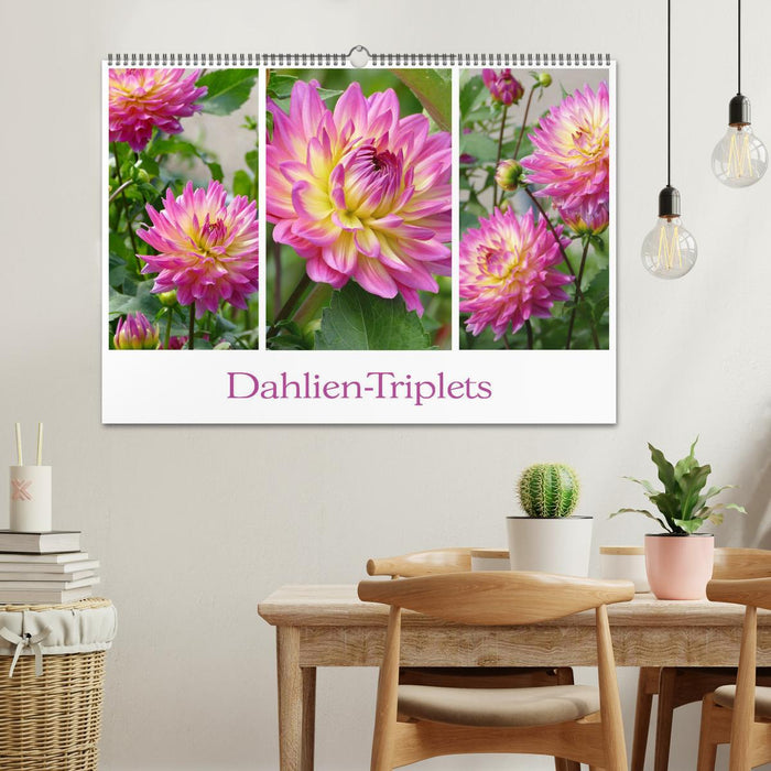Dahlien-Triplets (CALVENDO Wandkalender 2026)