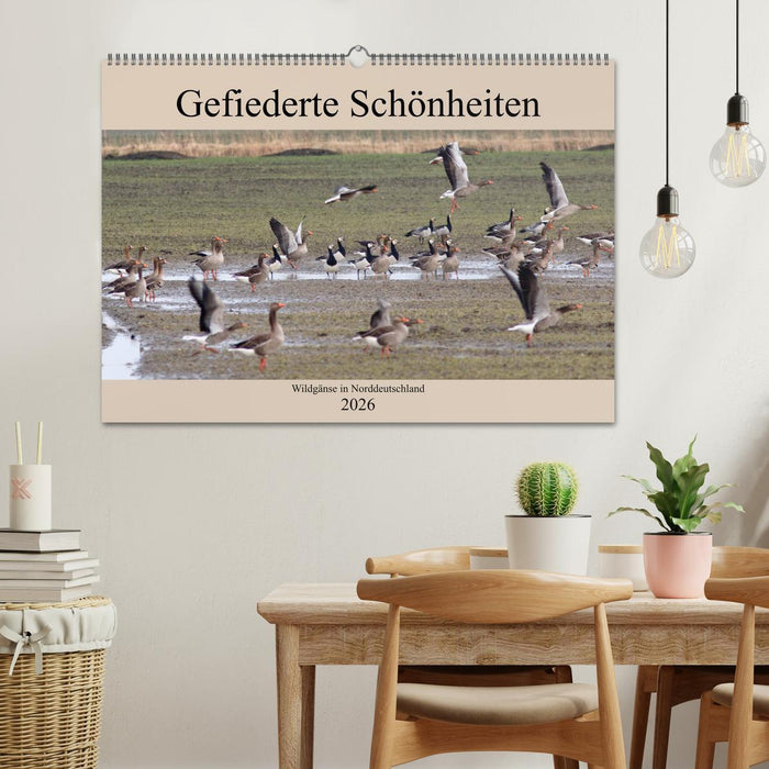 Gefiederte Schönheiten - Wildgänse in Norddeutschland (CALVENDO Wandkalender 2026)