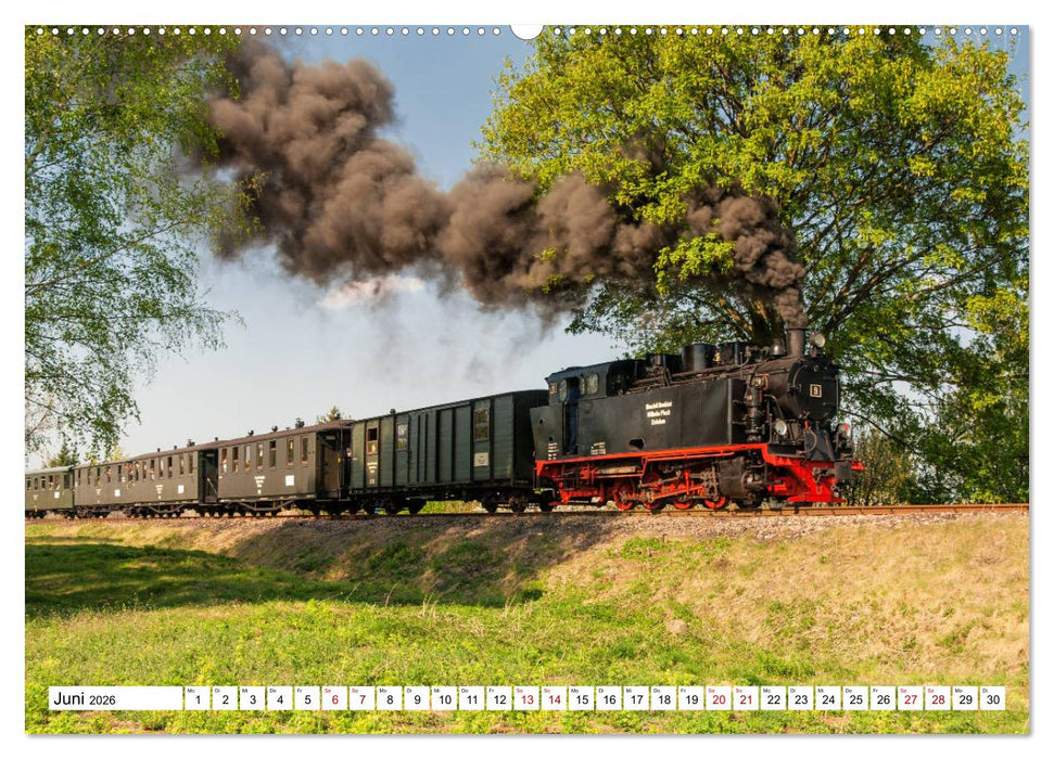 Mansfelder Bergwerksbahn (CALVENDO Premium Wandkalender 2026)