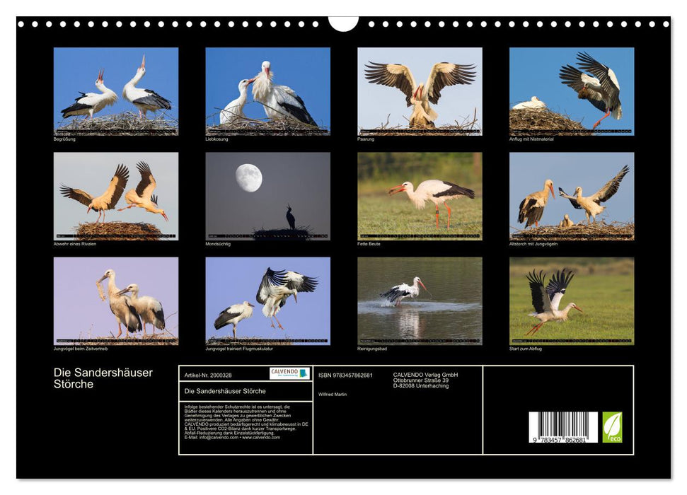 Die Sandershäuser Störche (CALVENDO Wandkalender 2026)