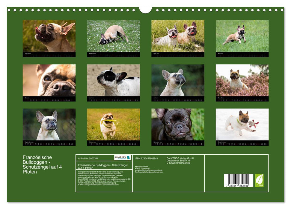 Französische Bulldoggen - Schutzengel auf 4 Pfoten (CALVENDO Wandkalender 2026)